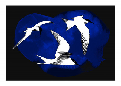 Sommeil Oiseaux migrateurs