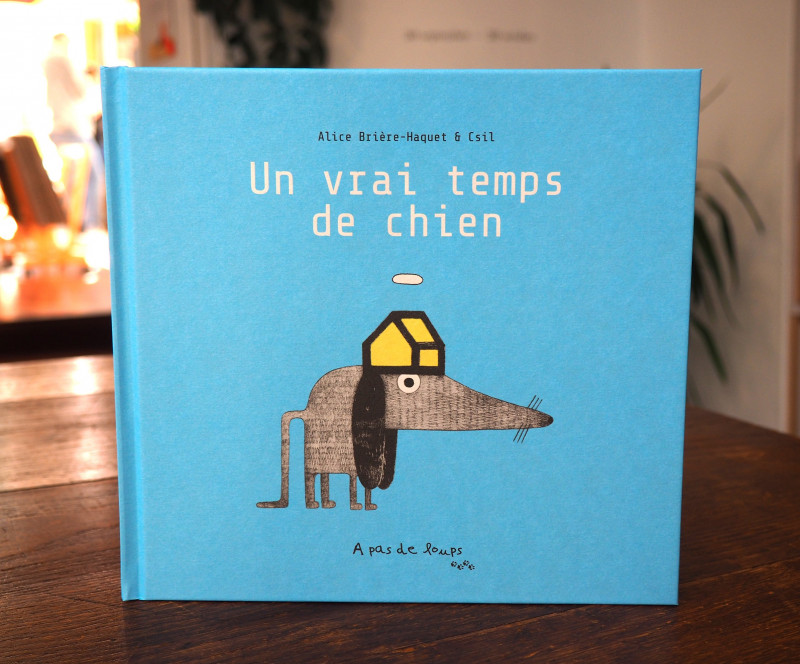 Un vrai temps de chien (livre)