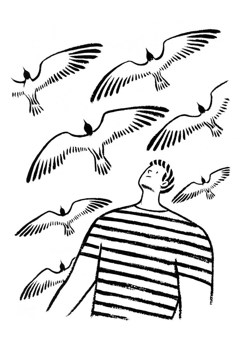 Les ailes Les ailes