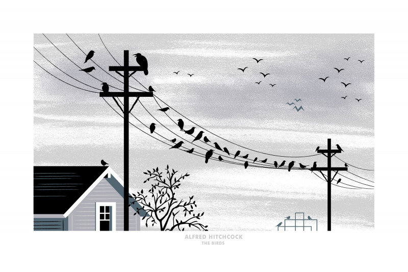 The Birds The Birds