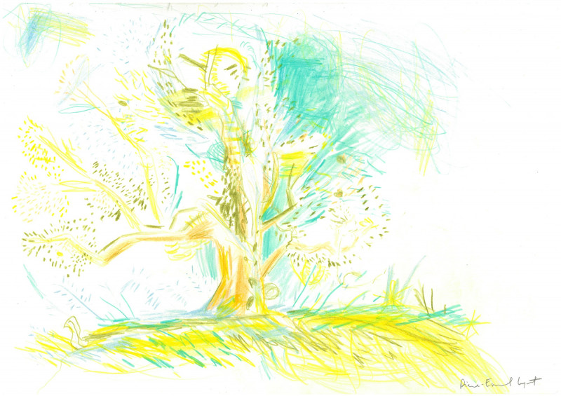 Olea Olea