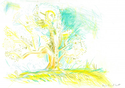 Olea