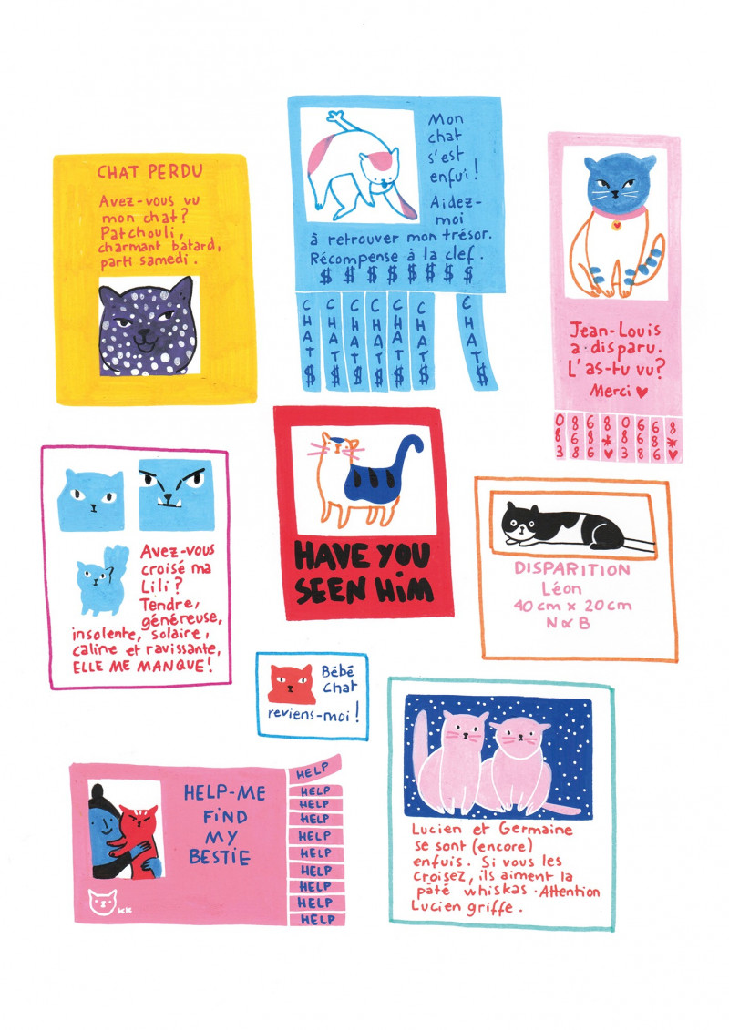 Cat Cat