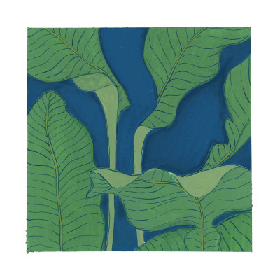 Les grandes palmes (série jardin)