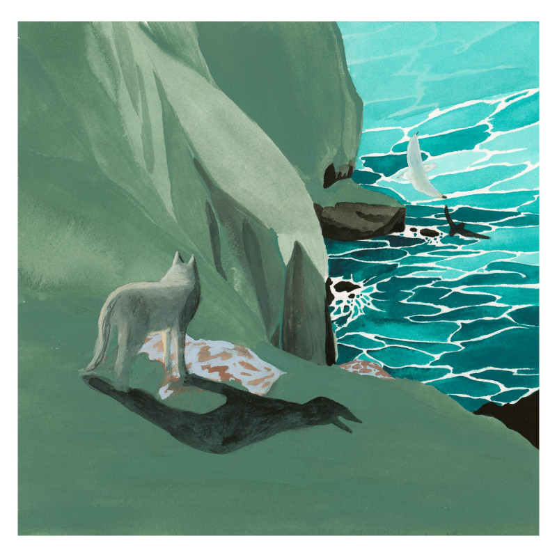 Le loup et le goéland Le loup et le goéland
