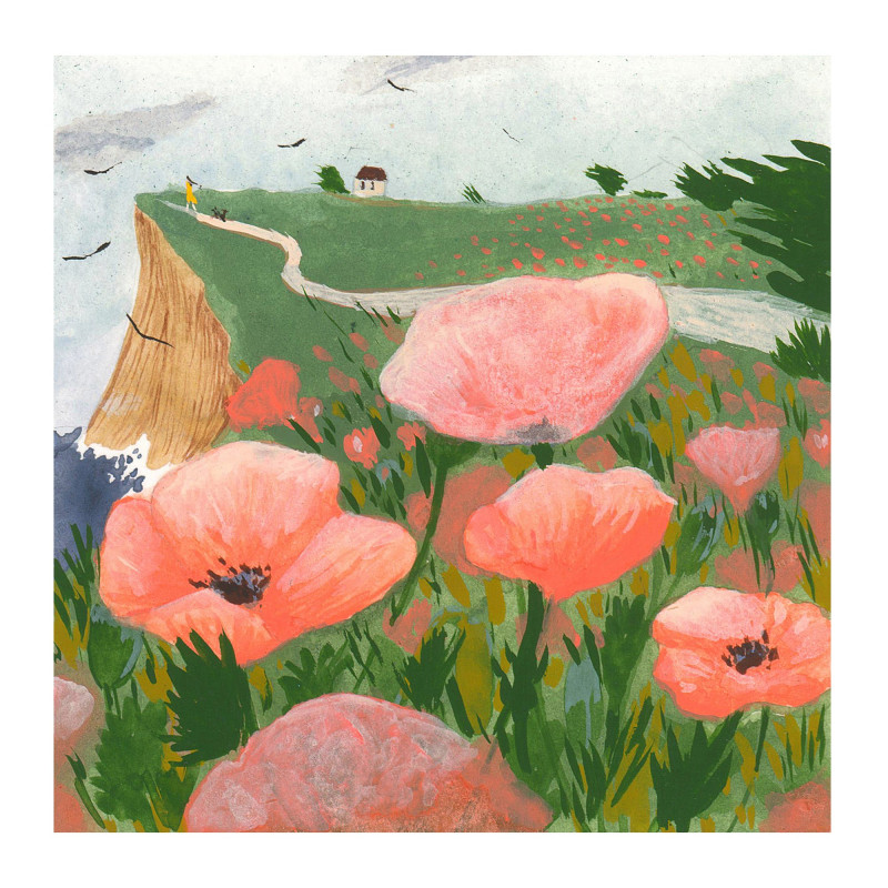 Coquelicots Coquelicots