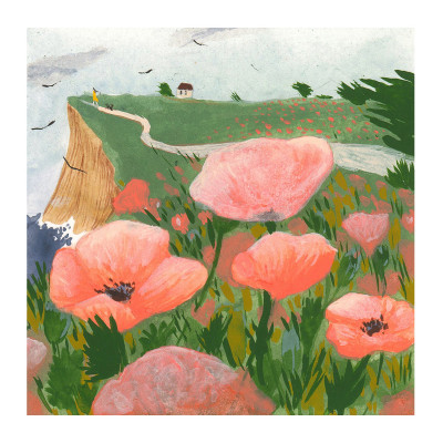 Coquelicots