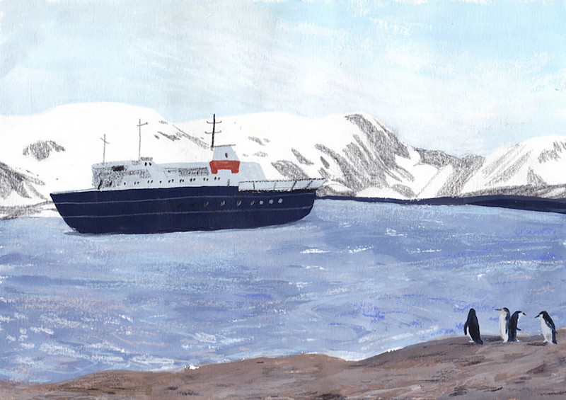 Antarctica Antarctica