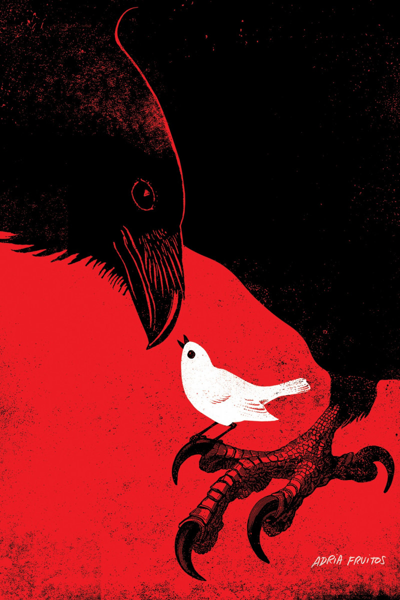 L'oiseau blanc L'oiseau blanc