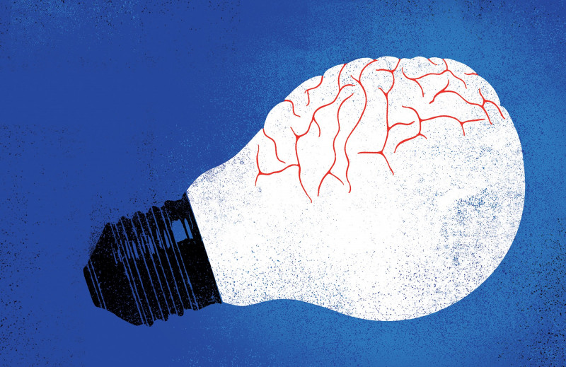 Cerveau au travail 2 Cerveau au travail 2