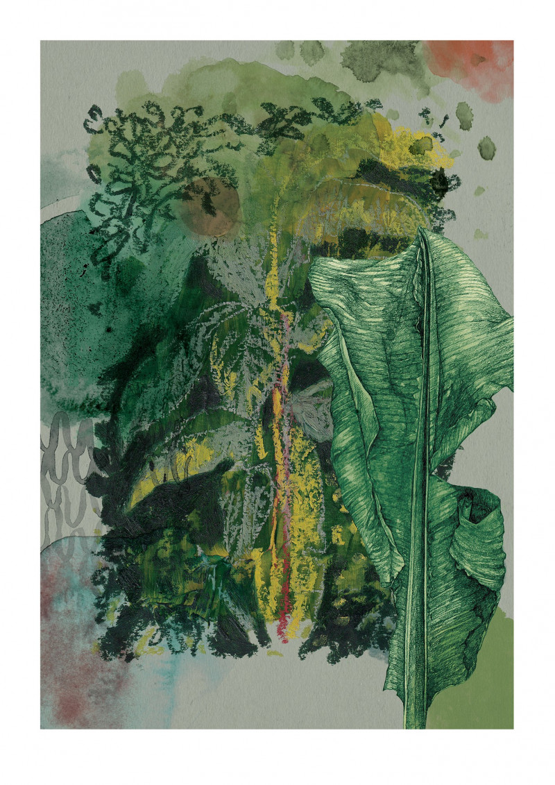 Garden Journal - Banana Tree Garden Journal - Banana Tree