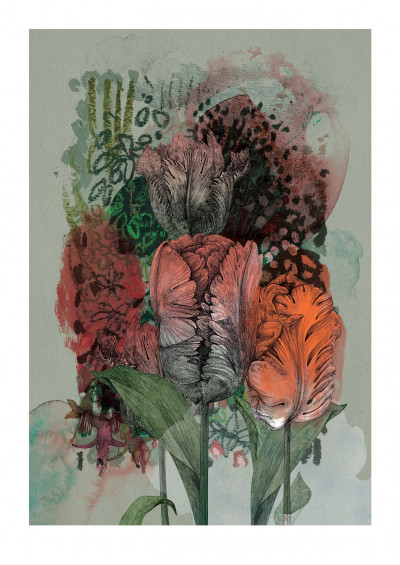 Garden Journal - Parrot Tulips