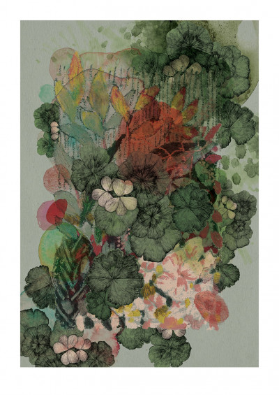 Garden Journal - Géraniums