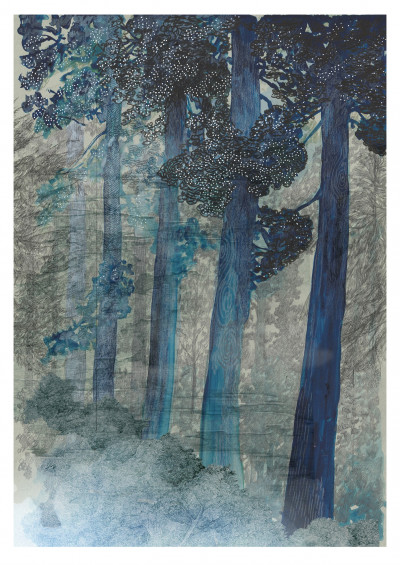 Blue Forest