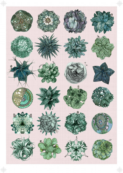 Conservatory Inventory
