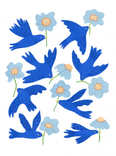 Les oiseaux bleus