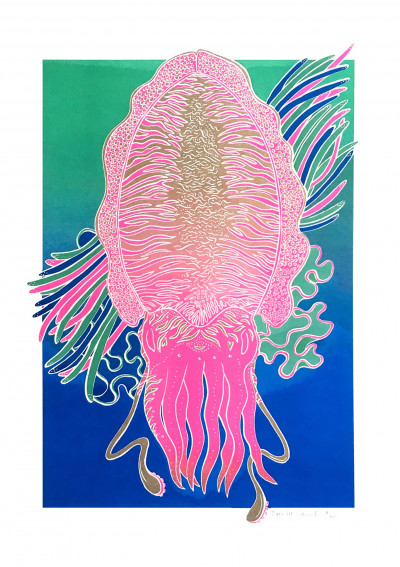 Cute Cuttlefish