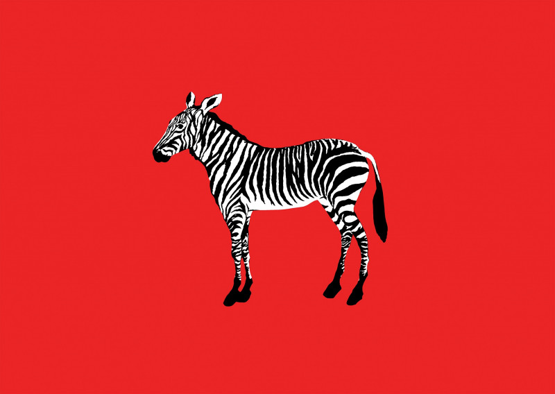 Le zèbre Le zèbre