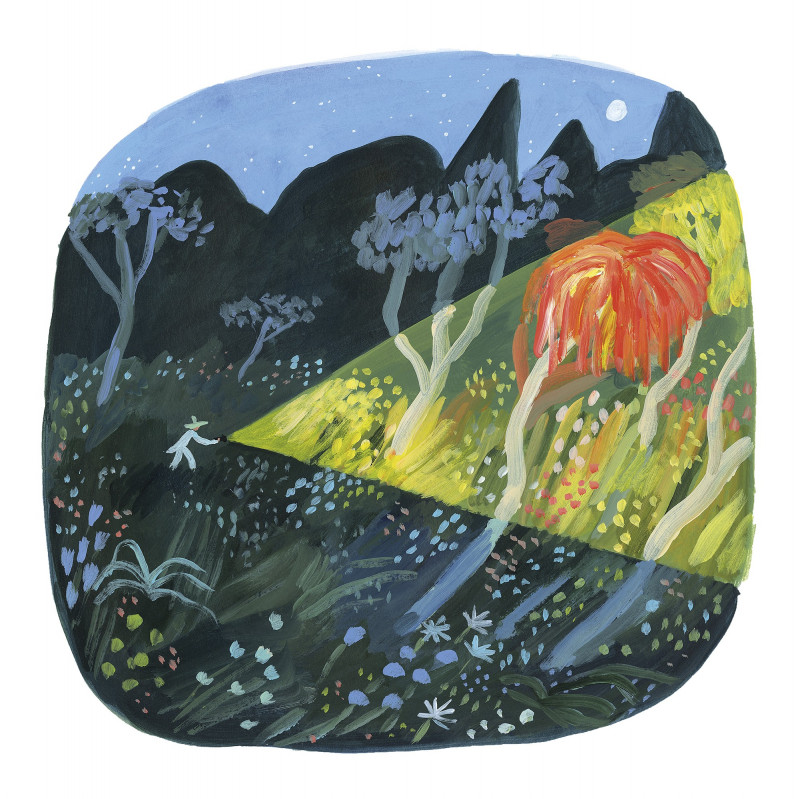 Night Garden Night Garden