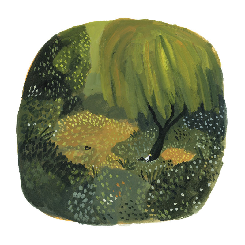 AUTUMN AUTUMN