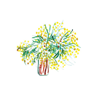 Le bouquet de mimosa