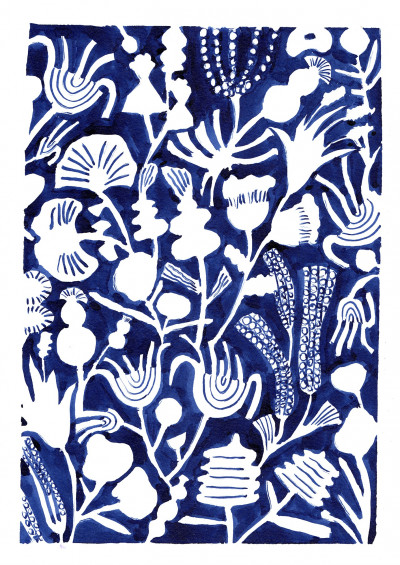 Fleurs galactiques 2