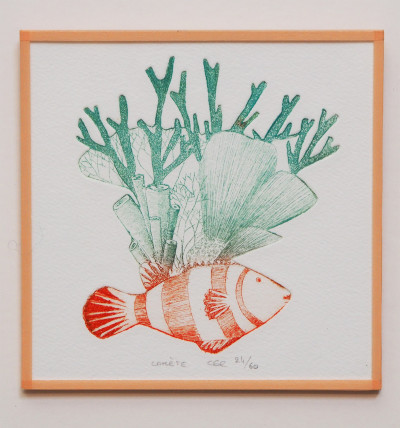 Comète (SOUS VERRE)