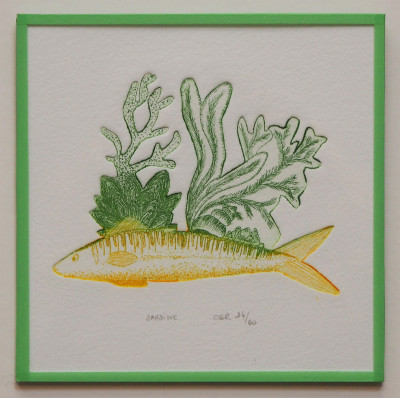 Sardine (SOUS VERRE)