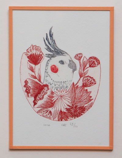Coco (SOUS VERRE)