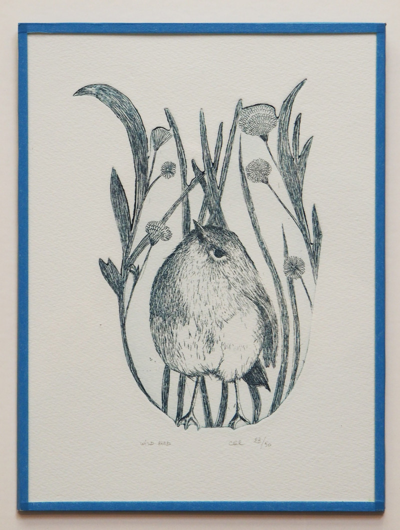 Wild bird (SOUS VERRE) Wild bird (SOUS VERRE)