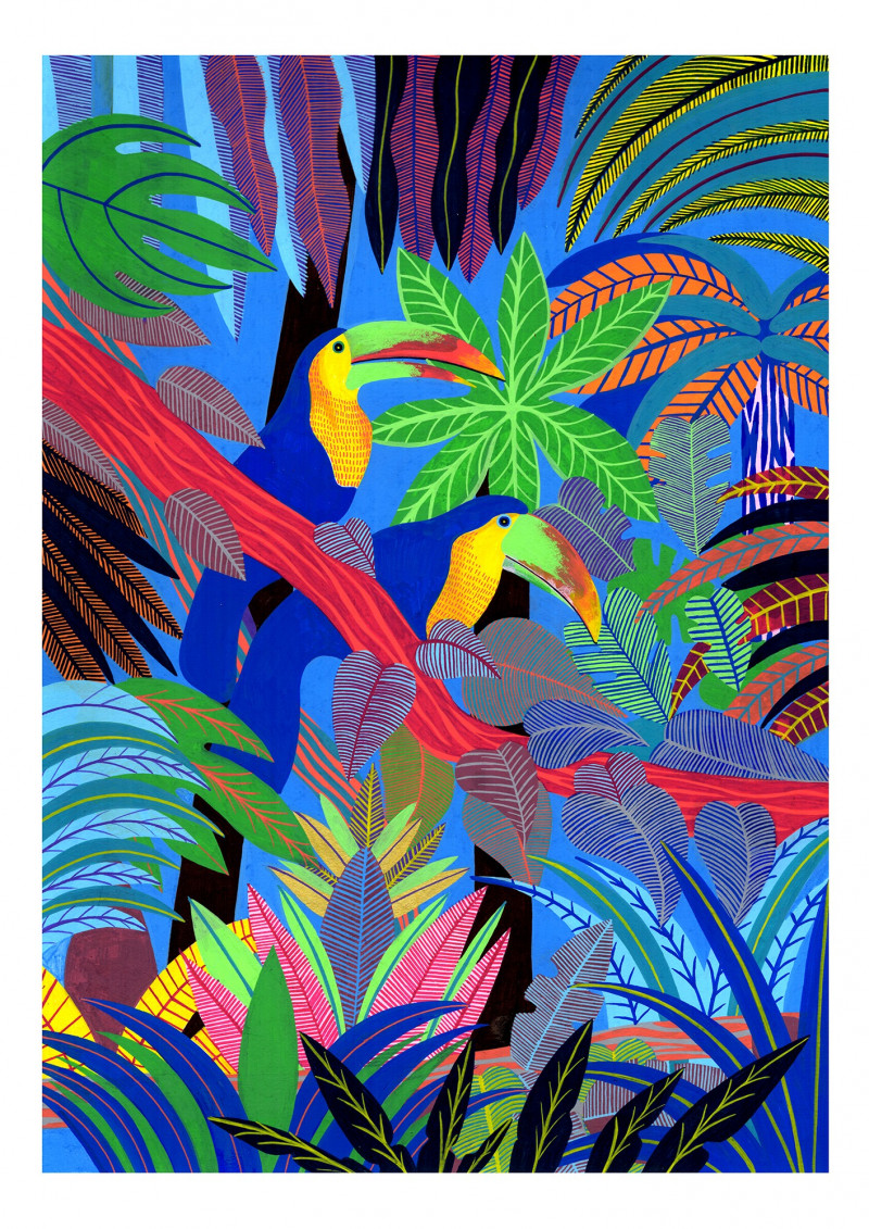 Toucans Toucans