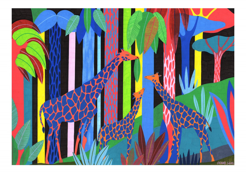Girafes Girafes