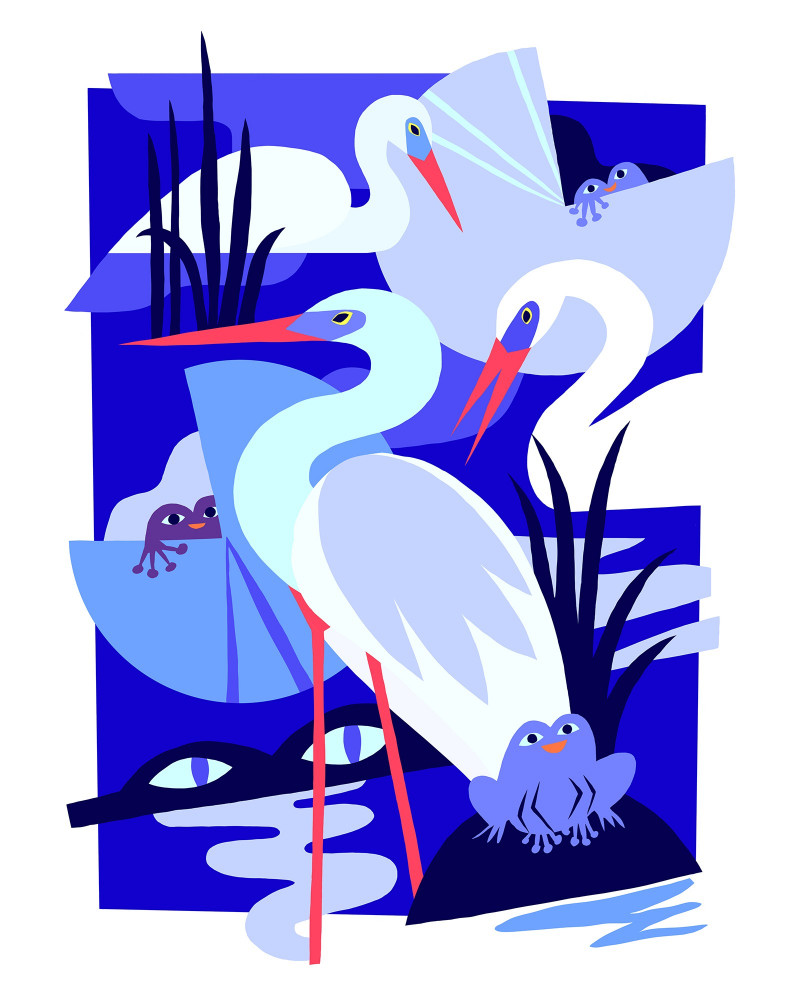 Blue Bayou Blue Bayou
