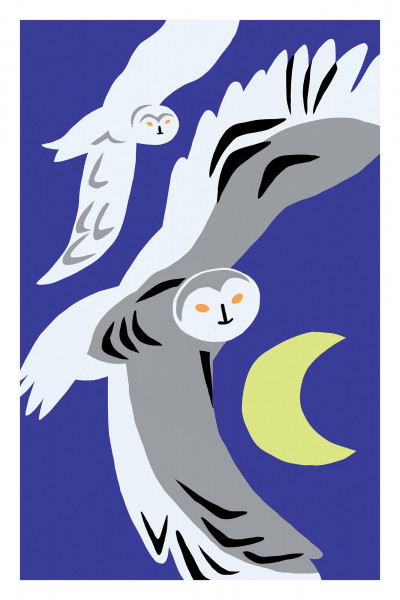 Half Moon Owls