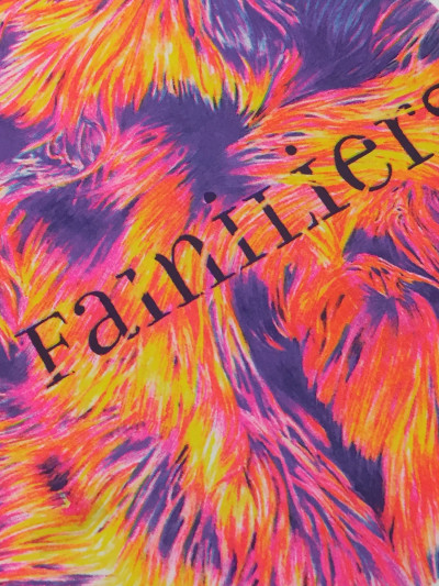 Fanzine - Familiers 