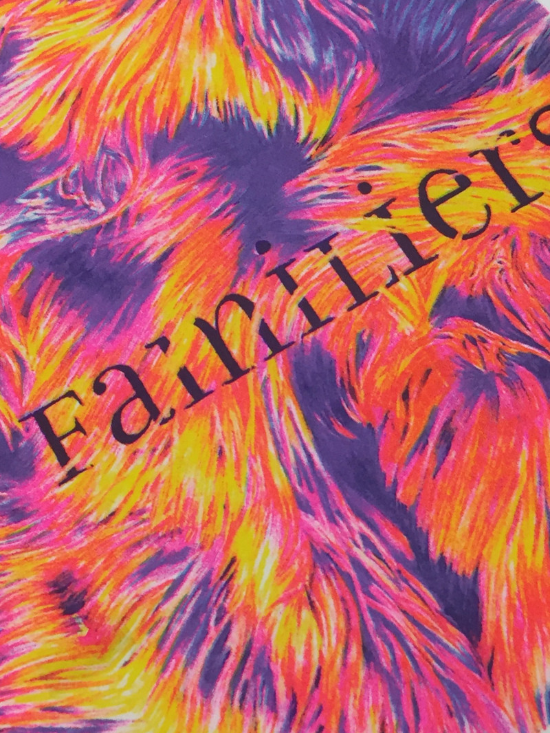 Fanzine - Familiers 