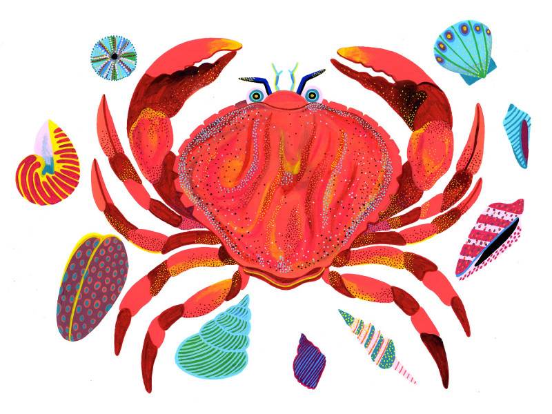 Crabe