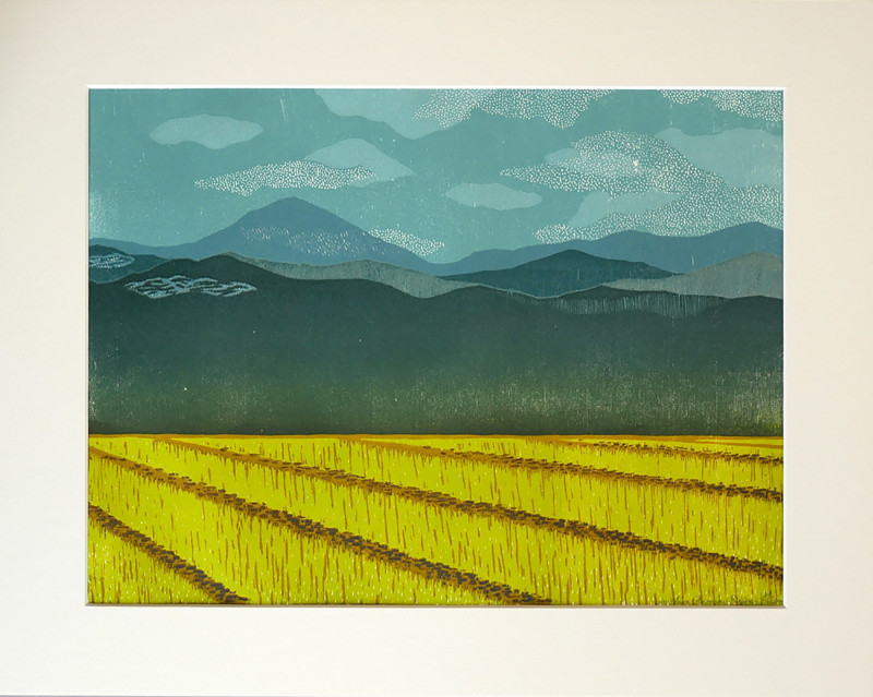 Paysage rizière Paysage rizière