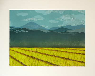 Paysage rizière