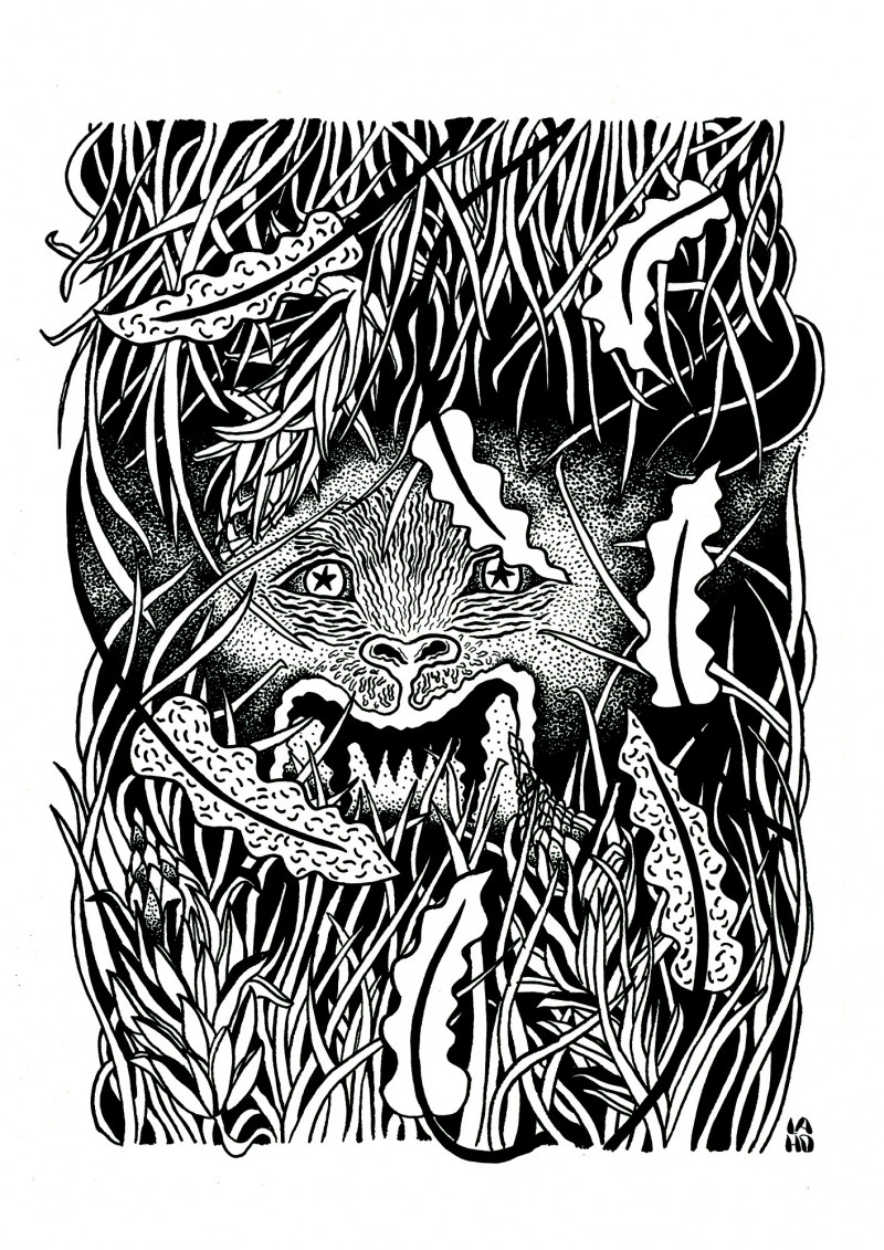 Le monstre des tropiques 1