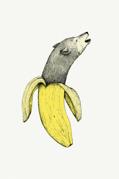 Banana  Wolf