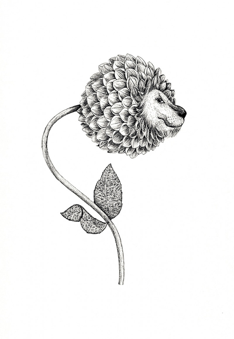 Dahlion Dahlion