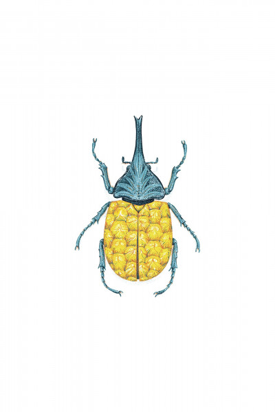 Dynananas Granti
