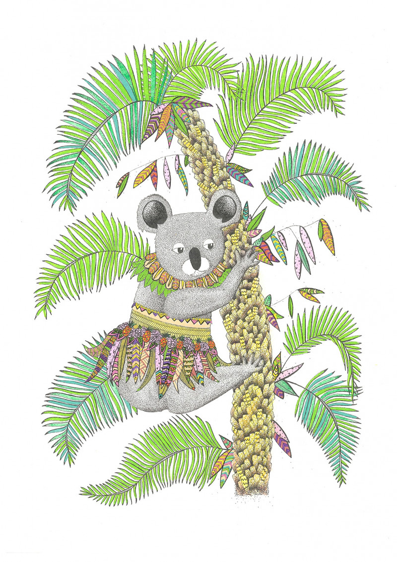 OLYMPE le koala OLYMPE le koala