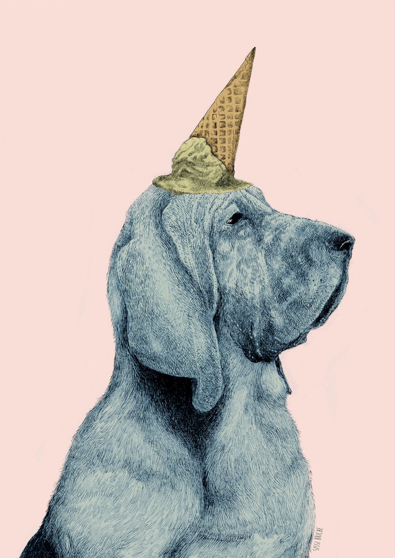 Le chien du voisin Le chien du voisin