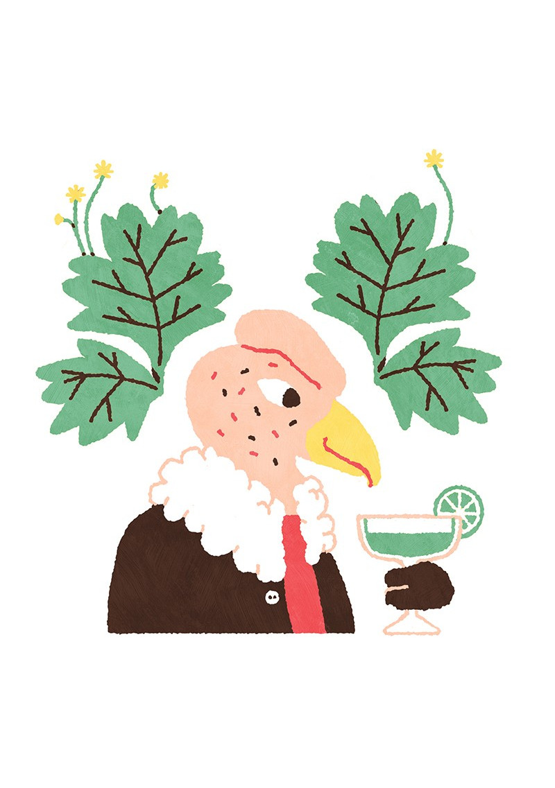 Condor Condor