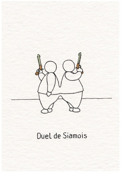 Duel de siamois