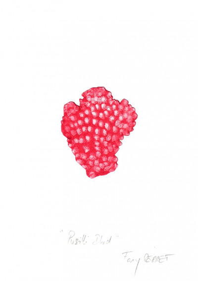 Pusilli illud