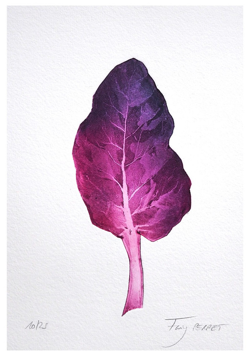 Blette violette Blette violette