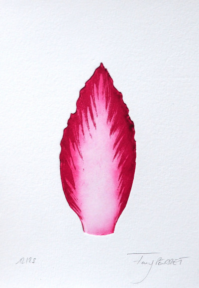 Endive rouge